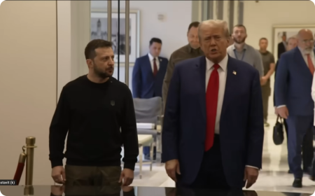 Donald Trump a Volodymyr Zelenskyj budou jednat o dohodě, která umožní Spojeným státům přístup k ukrajinským nerostným surovinám.